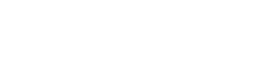 Padagis US LLC logo with registered trademark.